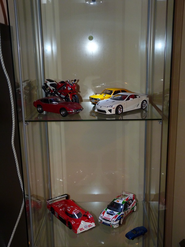 P1000067 - Cópia.JPG