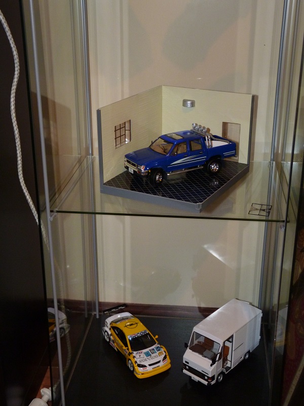 P1000068 - Cópia.JPG