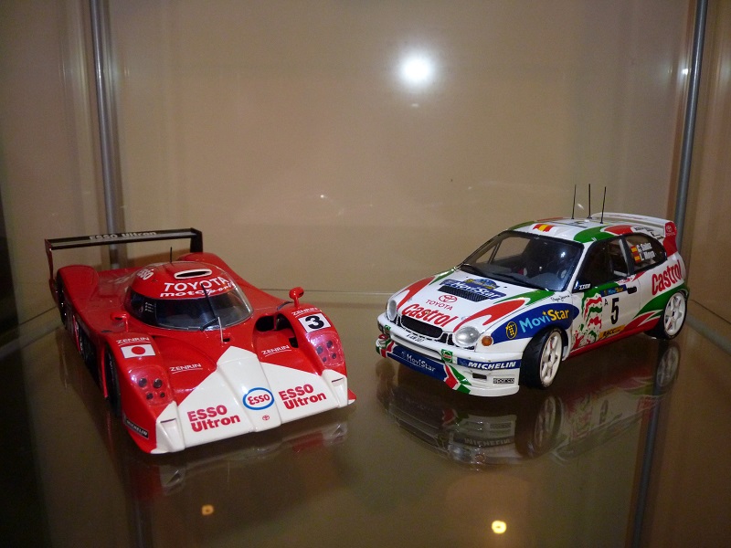 P1000069 - Cópia.JPG