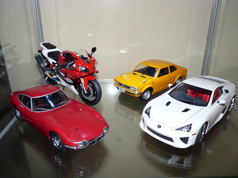 P1000072 - Cópia.JPG