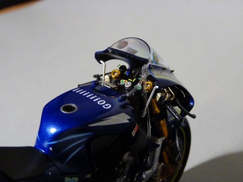 P1000490 - Cópia.JPG