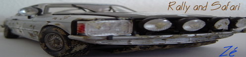 Rally and safari barra original.jpg