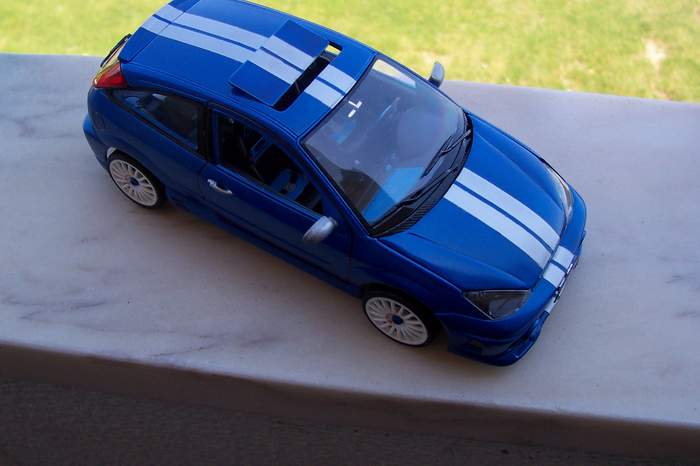100_1181.JPG