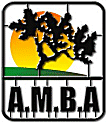 AMBA.gif