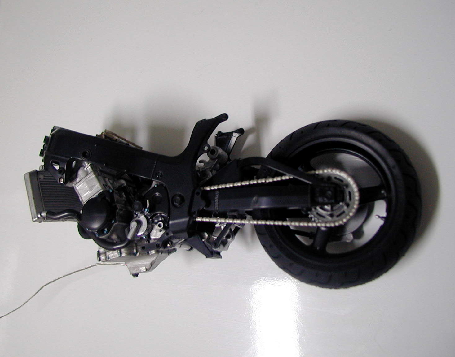 busa 6.JPG