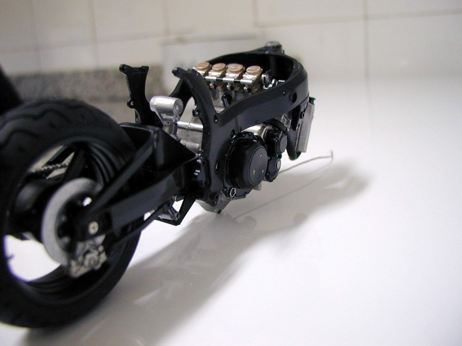 busa 5.JPG