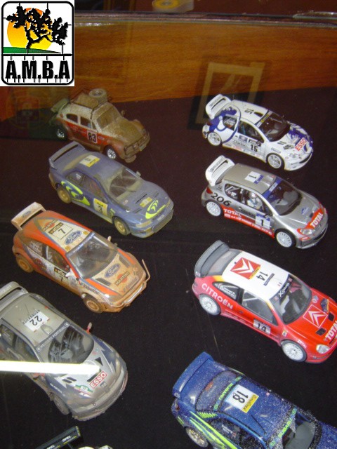 carros meus e do Prf SM Nos os dois samos os poucos  que fazemos carros na AMBA