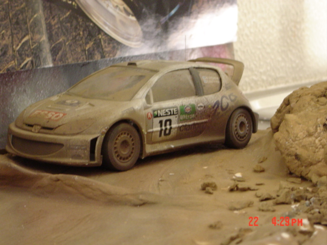 DSC00306.JPG