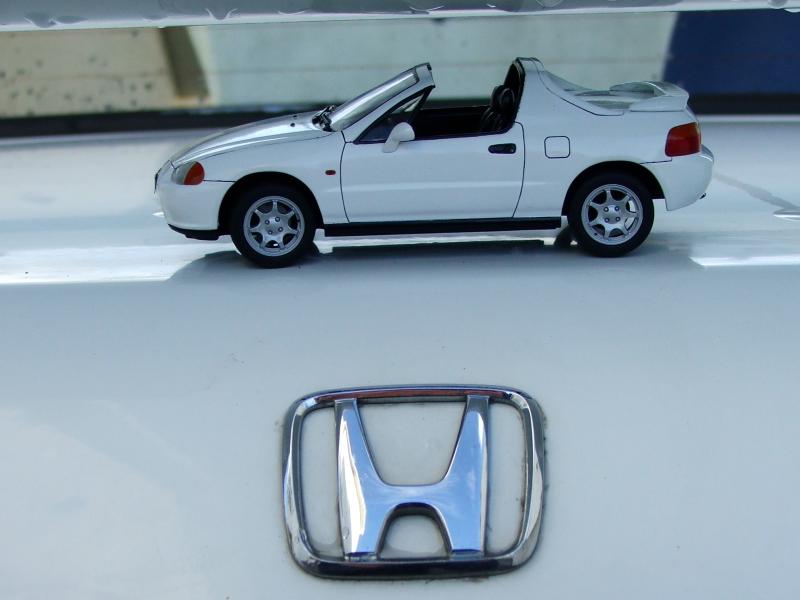 20060220_DelSol_1-24_5.jpg