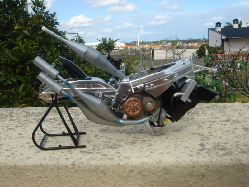 DSC00800.jpg
