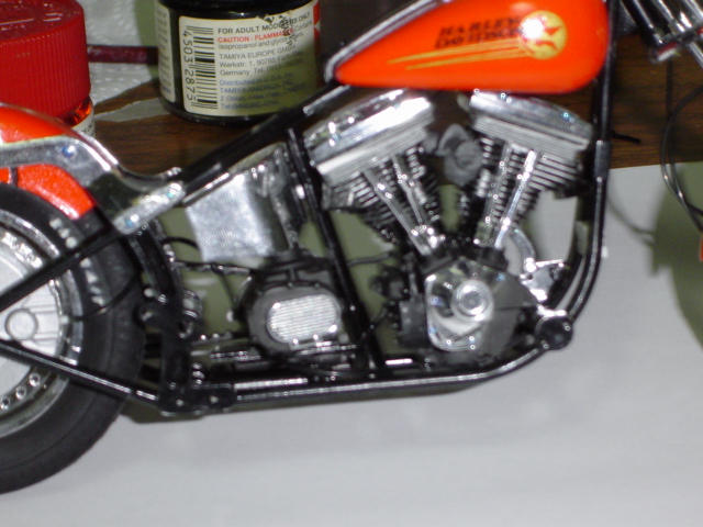 DSC01426.JPG