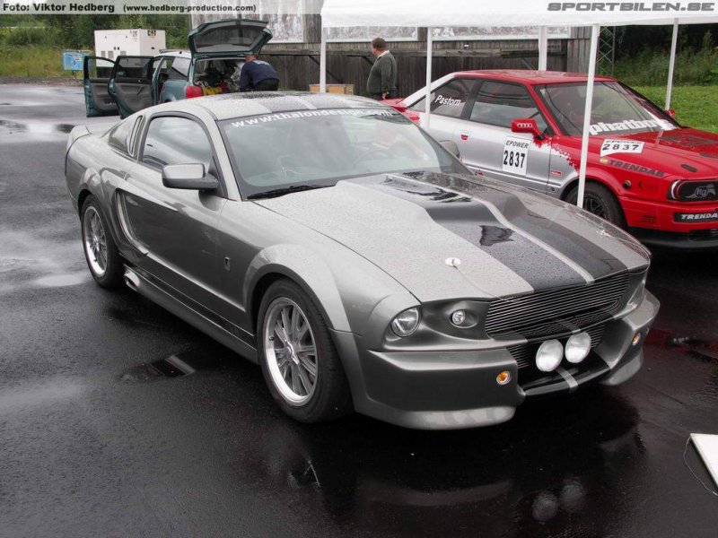 Eleanor_2006.jpg